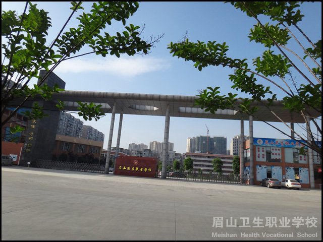 眉山卫生职业学校