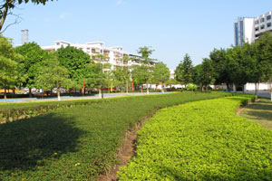 广东省新兴中药学校图片