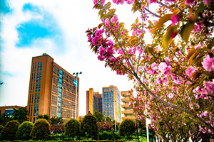 资阳卫校|资阳卫生学校图片