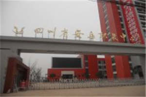 四川省安岳第一职业技术学校图片