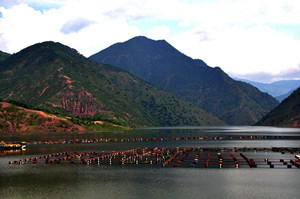 南涧县职业高级中学图片