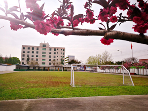 德阳应用技术职业学校图片