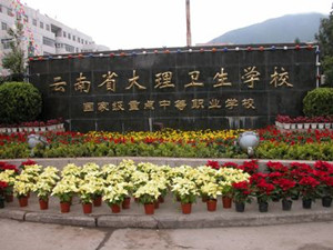 大理卫生学校|大理卫校图片