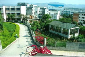 广南县民族职业高级中学|广南职高图片