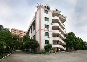 重庆市护士学校图片